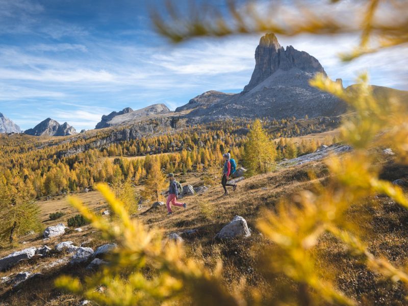 cortina media trip-209